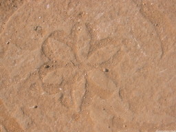 Ruines de Mansourah: 
l'histoire signale que des...