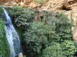 les Cascades d'El-Ourit font partie du Parc...