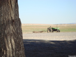 agriculture
